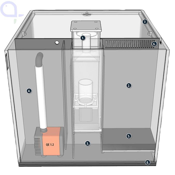 Meerwasser Aquarium 80 Liter von Dupla 2024